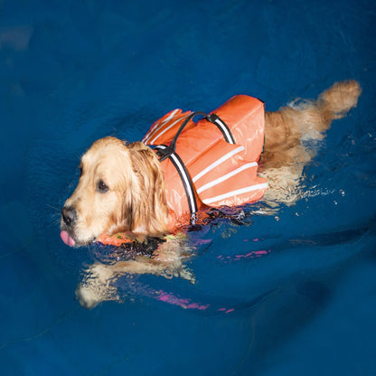 Chaleco Salvavidas  PAWLINO DOG con Flotador para la Barbilla