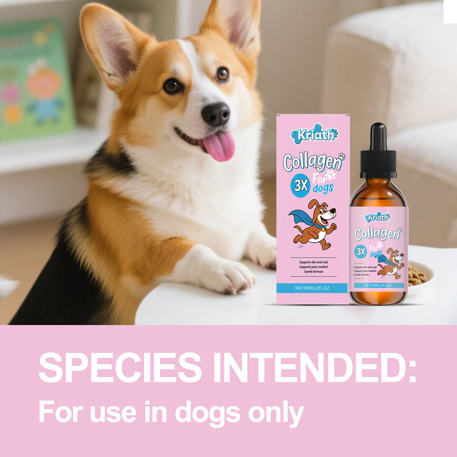 Colageno para Perros